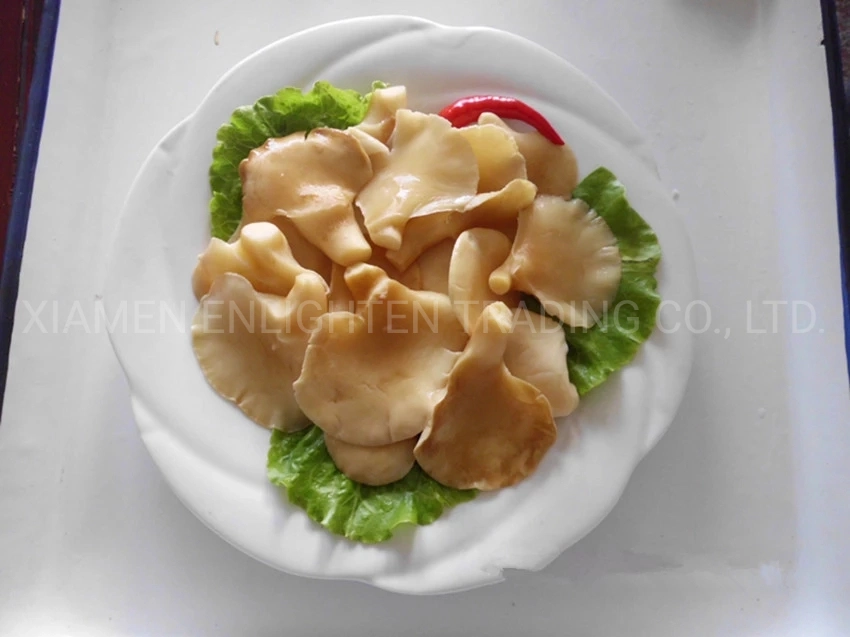 Canned Golden Abalone Mushroom in Brine