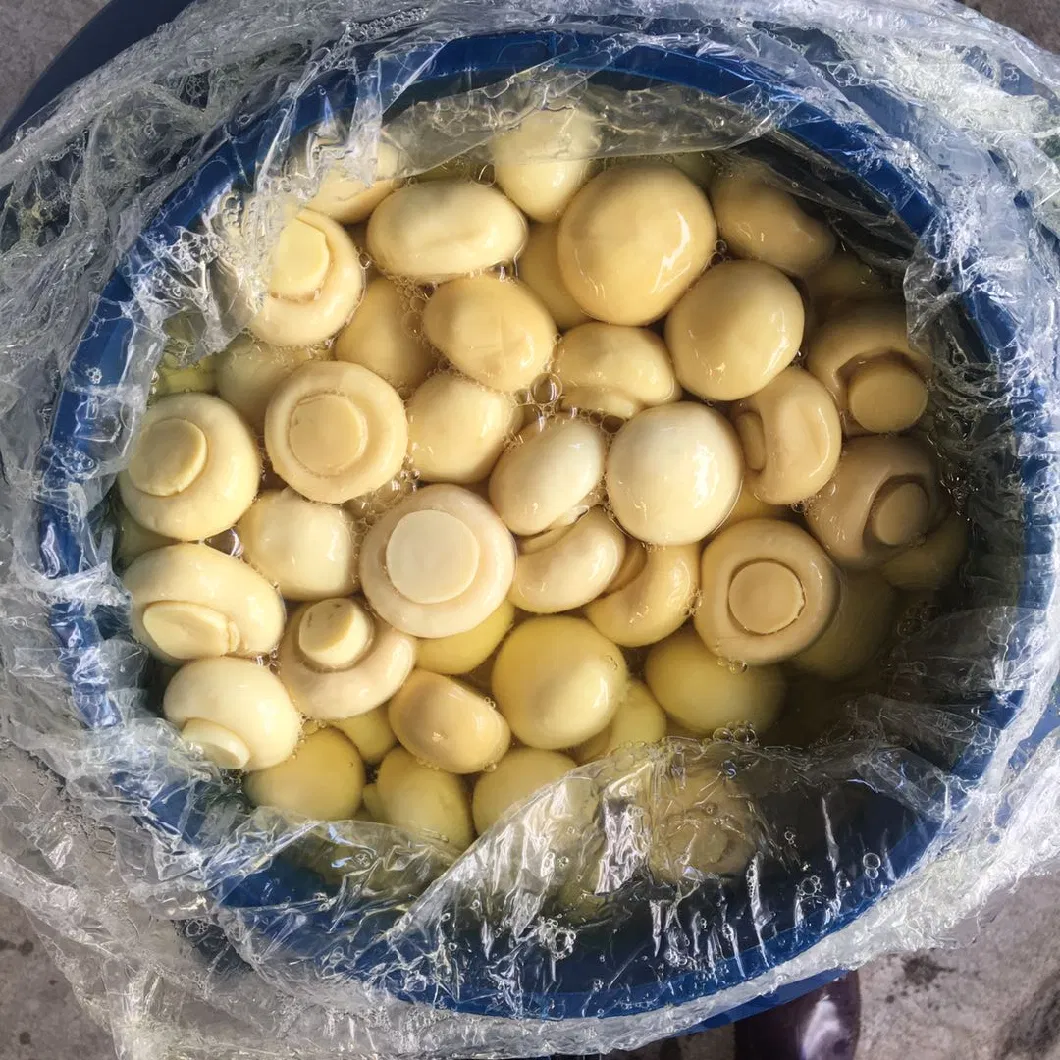 Mushroom Whole or Sliced in Brine in Drums