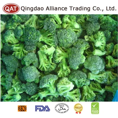 중국 유기농 제조업체 공장 냉동 녹색 브로콜리 컷 IQF 자르기 녹색 브로콜리 좋은 가격