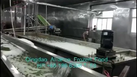 Brc FDA HACCP 인증을 통해 대량 소매 포장으로 최고 품질의 중국 냉동 IQF 녹색 완두콩 직접 공급